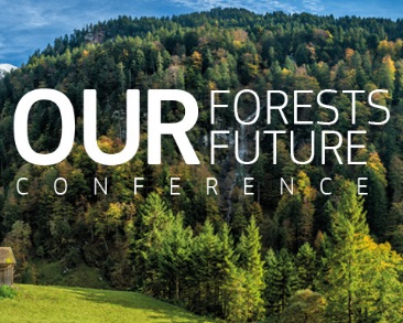 'Le nostre foreste, il nostro futuro' - Importante Conferenza a Bruxelles