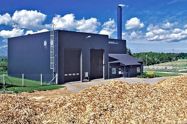 Impianti a biomassa: le Regioni non possono fissare distanze minime