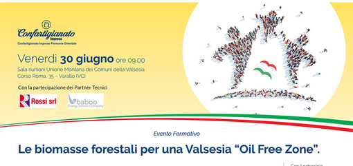 Biomasse forestali per una Valsesia “Oil Free Zone”
