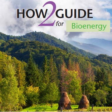 Come mettere a frutto le bioenergie: la guida Fao–Iea