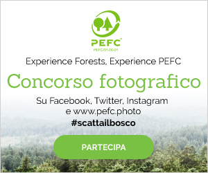 Primo concorso fotografico internazionale del PEFC