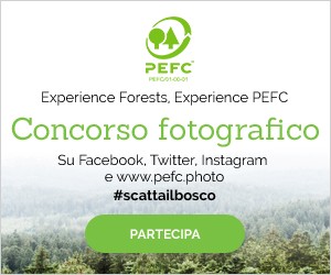 Primo concorso fotografico internazionale del PEFC