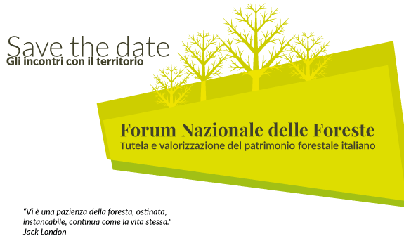 Forum Nazionale delle Foreste: incontri tecnici e tematici sul territorio