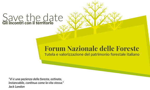 Forum Nazionale delle Foreste: incontri tecnici e tematici sul territorio