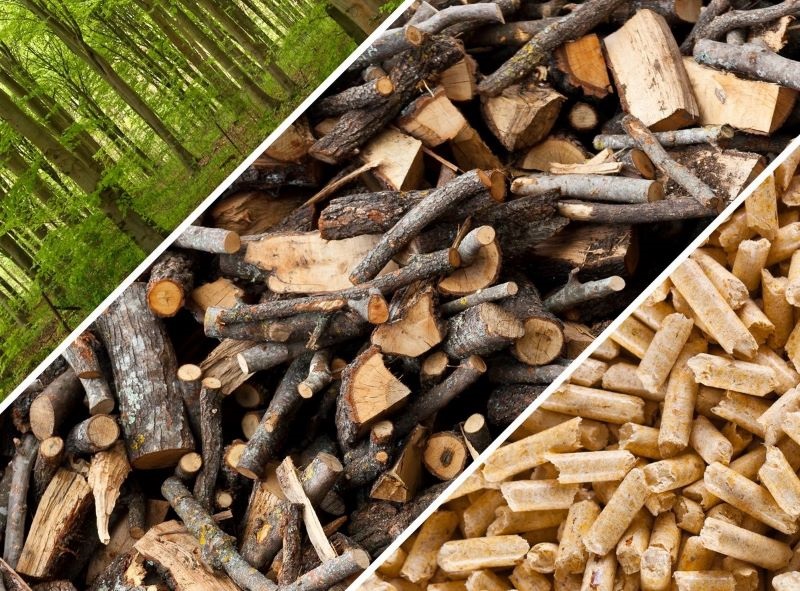 Biomasse legnose al posto del gas, in Italia un enorme potenziale sottovalutato